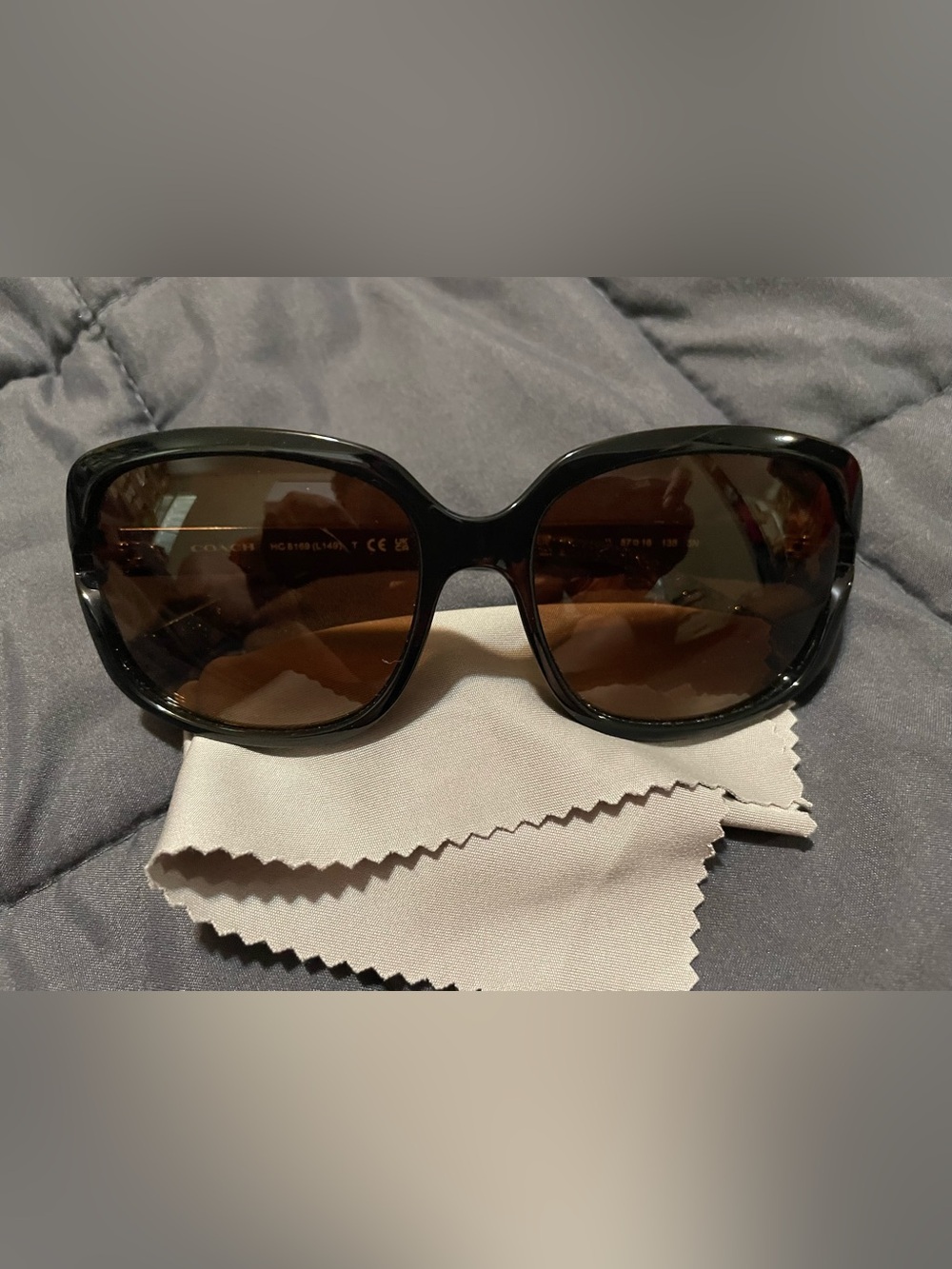 Coach HC8169 Women's Black Frame Brown Lens Oversized Sunglasses